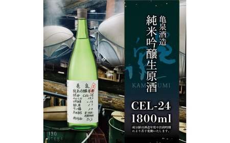 純米吟醸生原酒 CEL-24 1800ml 1.8l 生酒 毎月1本×3回 定期便