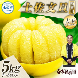 【果樹園直送】土佐文旦 特選品贈答用 約5kg 3L～4Lサイズ 7～8個入り 白木果樹園