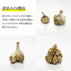 訳あり 植田ファームの自然乾燥にんにく800g 800グラム ニンニク ガーリック お酒 料理 醤油漬け ガーリックオイル ペペロンチーノ パスタ スパゲッティ ワケアリ 家庭用 ご自宅用 常温 冷蔵 配送 高知県 高知 土佐市 ふるさとのうぜい 故郷納税 返礼品
