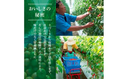 【ふるなびWEEK対象】訳あり フルーツトマト 2kg 大小混合桃太郎 完熟 糖度8度以上 FN-Limited-PR