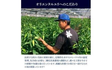 オリエンタルユリ バラエティパック 1束(1束3～4本 15輪以上) 