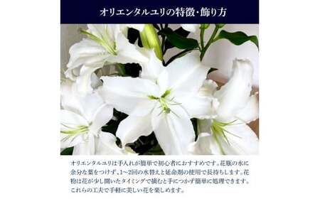 オリエンタルユリ バラエティパック 1束(1束3～4本 15輪以上) 