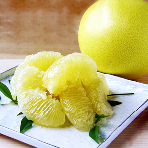 石元農園の土佐文旦 家庭用 大玉 約10キロ 10kg 3Lサイズ 4Lサイズ