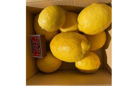 自然栽培レモン1kg