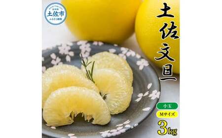 農家直送 土佐市産土佐文旦 小玉3kg ３キロ Mサイズ 7～10玉入り 家庭用 訳あり