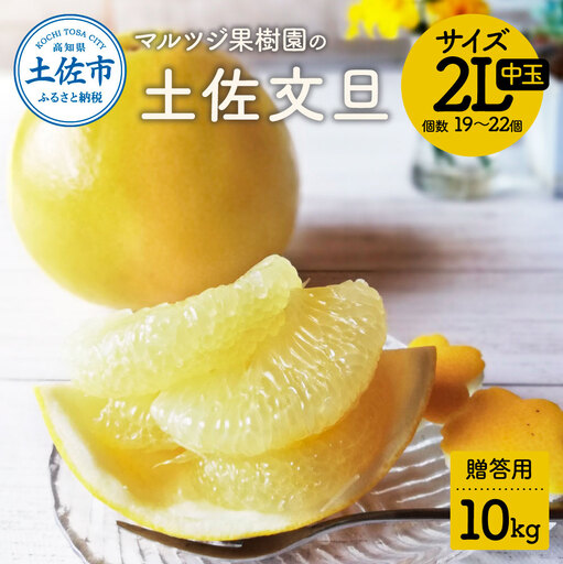 【先行予約】マルツジ果樹園の土佐文旦 贈答用(中玉) 約10kg 10キロ 2Lサイズ 19～22個入り