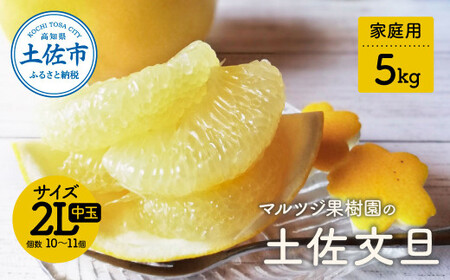 【先行予約】マルツジ果樹園の土佐文旦 家庭用(中玉) 約5kg 5キロ 2Lサイズ 10～11個入り