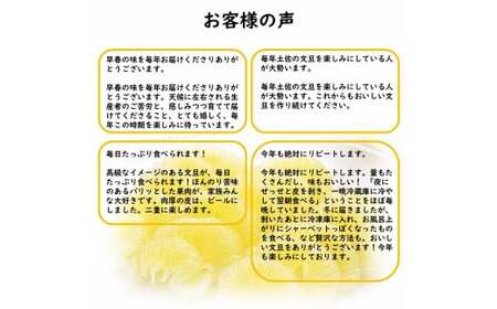 生産者直送　土佐文旦3.0kg[2L～4L]家庭用 【2026年1月下旬より発送】