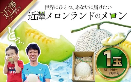 先行予約 メロン １玉入（約1.4kg～1.8kg）青肉 2026年夏発送