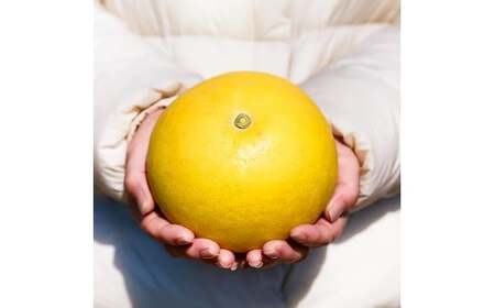 文旦 エッセンシャルオイル 8ml MICIL(ミシル) 