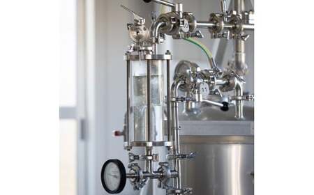 文旦 エッセンシャルオイル 8ml MICIL(ミシル) 