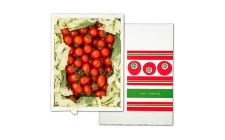 訳あり 赤いミニトマトの宝石箱 約1kg 約1キロ 3回定期便