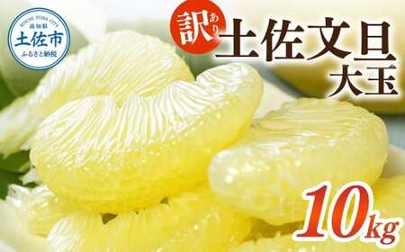 ＜土佐市産＞ 土佐文旦 大玉 訳あり 約10kg（3L～2Lいずれかのサイズ）白木果樹園 返礼品 高知県 土佐市