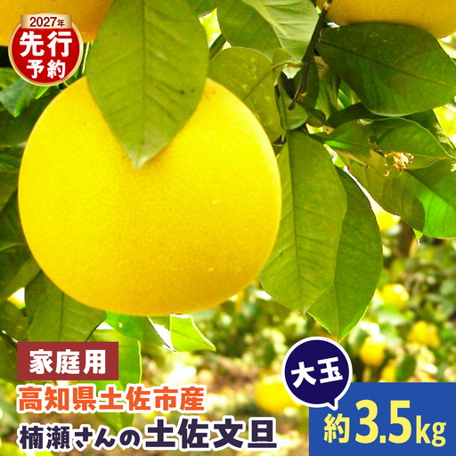 楠瀬さんの土佐文旦 家庭用大玉 約3kg 約3キロ 4L～2L ぶんたん ブンタン フルーツ 柑橘 みかん 果物 くだもの 柑橘類 デザート おやつ さっぱり おいしい 甘い お取り寄せ 国産