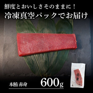 本鮪 赤身 600g マグロ まぐろ 本まぐろ 刺身 刺し身 魚 海鮮 冷凍 美味しい おいしい 故郷納税 ふるさとのうぜい 返礼品 高知県 高知