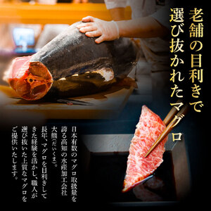 本鮪!　大トロ（200g）ネギトロ(400g)セット　ねぎとろ マグロ まぐろ 本まぐろ 刺身 刺し身 魚 海鮮 冷凍 美味しい おいしい 故郷納税 ふるさとのうぜい 返礼品 高知県 高知