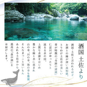 【数量限定】酔鯨 純米大吟醸 DAITO 2025 720ml×1本