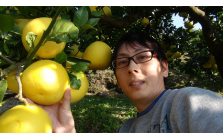 【先行予約】三愛果樹園の土佐文旦 贈答用約5kg 2月～3月発送