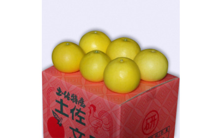 【先行予約】三愛果樹園の土佐文旦 贈答用約5kg 2月～3月発送