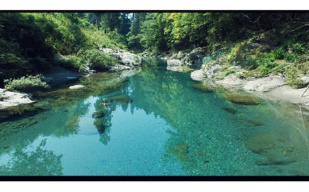 旬の朝採れ土佐野菜詰め合わせ(10～13品目)【土佐市】