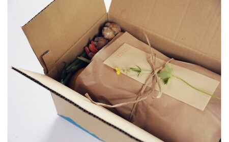 【土佐野菜】旬の野菜の詰め合わせと栽培期間中に農薬不使用の生姜100g付き