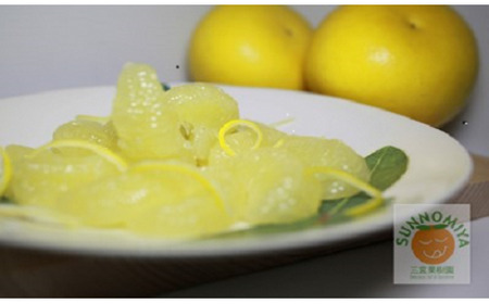 三宮果樹園の土佐文旦 家庭用3Kg