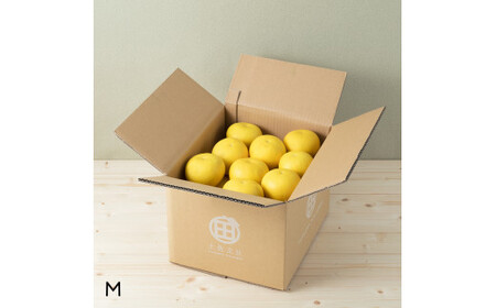 ☆至高の柑橘　高知産土佐文旦☆M 30玉入【家庭用】