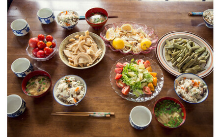 『定期便全12回』栽培期間中に農薬不使用の生姜200gと旬の野菜詰め合わせ10~13品目