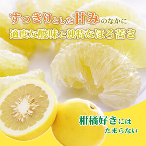 土佐文旦(ぶんたん) (小玉サイズ:M～L混合) 約5kg【株式会社とさ