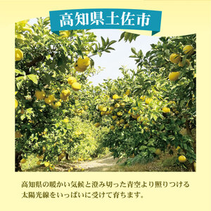 土佐文旦(ぶんたん) (小玉サイズ:M～L混合) 約5kg【株式会社とさ