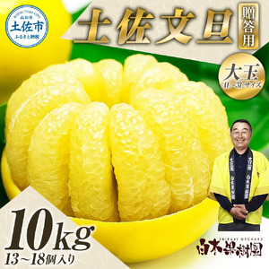 \果樹園直送/土佐文旦 約10kg 4L~3Lサイズ 13~18個入り 大玉・特大玉〈特選品贈答用〉 白木果樹園
