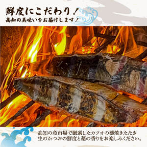 “生”かつおの藁焼きたたき（タレ・薬味付き）タタキ 鰹のタタキ 1節～3節（500g～700g）3人前～5人前 藁焼き 薬味 タレ付き 新鮮 冷蔵 本場 鰹タタキ 生鰹 かつおのたたき わら焼き セット ふるさとのうぜい 故郷納税 高知県 高知 土佐市