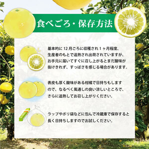 土佐文旦（ぶんたん）（大玉：２Ｌ～５Ｌ混合）約１０ｋｇ 約14～21玉