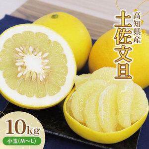土佐文旦（ぶんたん）（小玉サイズ：Ｍ～Ｌ混合）約１０ｋｇ 約25～30玉