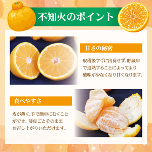 土佐の温室不知火（しらぬい）約3kg 