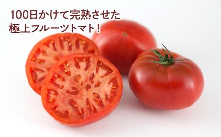 ＜2025年1月より発送＞お徳用フルーツトマトＬサイズ1.2kg 約15玉 Lサイズ 糖度8度以上 フルーツトマト ふるーつとまと とまと トマト 箱詰め 甘い 濃厚 美味しい おいしい 野菜 料理 サラダ