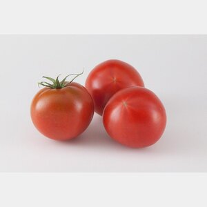 ＜2026年1月下旬より発送＞濃厚フルーツトマト1kg 糖度8度以上 期間限定 