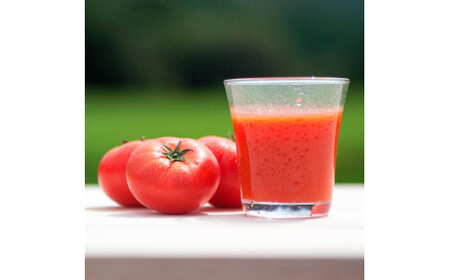 【池トマト】みなみのかほり 180ml×6本セット トマトジュース 食塩無添加 1本にトマト約3個分使用 糖度6.5度以上 トマト 100％ジュース ドリンク