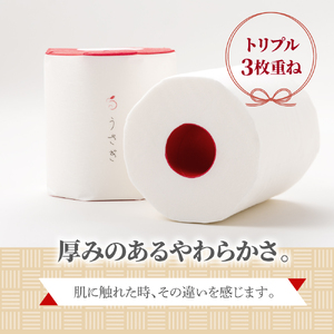 【望月製紙】うさぎ4ロールギフトボックス 高級 トイレットペーパー トリプル(3枚重ね) 22m やわらか 無香料 箱入り 贈答 プレゼント ギフト お祝い お返し 人気 かわいい