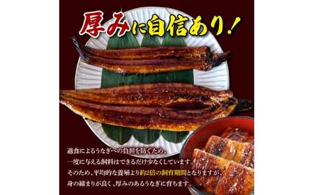 【数量限定】仁淀川特大肉厚うなぎ2尾セット タレ付き 