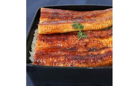 【数量限定】仁淀川特大肉厚うなぎ2尾セット タレ付き 