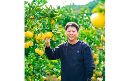 【日本ギフト大賞2024受賞】園主こだわり土佐文旦【化粧箱贈答用：大玉5kg】（3L～2L） 2026年1月下旬より順次発送 やの一果彩