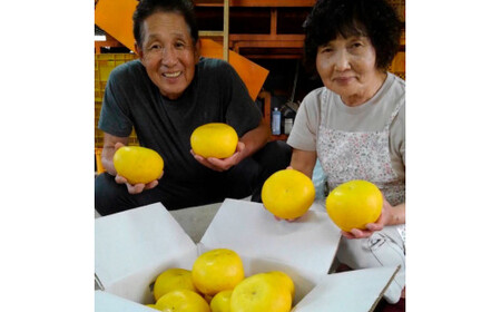 ＜2026年1月下旬より順次発送＞訳あり 嬉龍の土佐文旦 約10キロ L - ４Lサイズ 