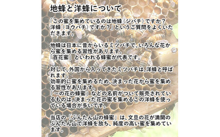爽やかな香り広がる100%天然蜂蜜 ぶんたん山の蜂蜜 360g 【白木果樹園】