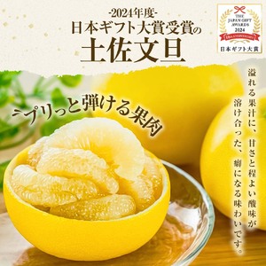 【ふるなびWEEK対象】【日本ギフト大賞2024受賞】【先行予約】文旦 小玉 10kg（L～M）2026年1月下旬より順次発送 FN-Limited-PR