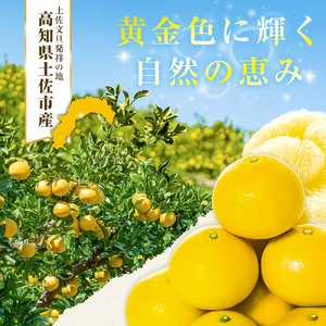 【日本ギフト大賞2024受賞】【先行予約】文旦 小玉 5kg（L～M）2026年1月下旬より順次発送 