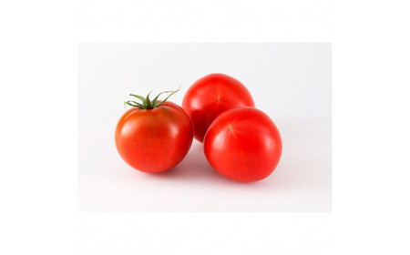 ＜2026年1月下旬より発送＞フルーツトマト特選ギフト約500g 