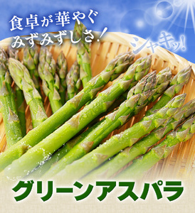 アスパラガス アスパラ グリーンアスパラ L サイズ 2kg (500g×4) 門別町農業協同組合(生活資材課) 《4月上旬-5月末頃出荷》北海道 日高町 送料無料 春野菜 春 朝採り 朝採れ お取り寄せ