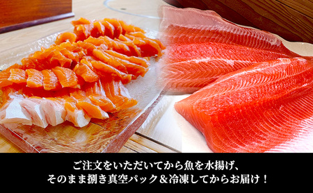 サーモン フィレ 1.5kg 冷凍 真空パック ドナルドサーモン にじます ニジマス さけ 鮭 刺身 半身 カルパッチョ ムニエル ルイベ マリネ 国産 北海道 日高町