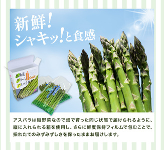 アスパラガス アスパラ グリーンアスパラ L サイズ 800g (400g×2) 門別町農業協同組合(生活資材課) 《4月上旬-5月末頃出荷》北海道 日高町 送料無料 春野菜 春 朝採り 朝採れ お取り寄せ